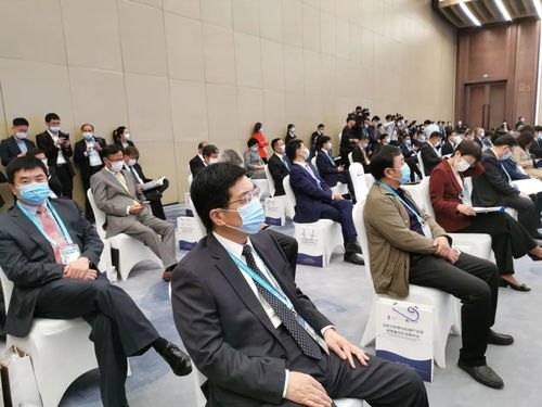 硕果累累 陈平市长率团赴上海进博会招商，聚焦新兴能源技术研发